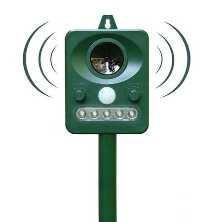 https://img.bestdeals.co.nz/products_pictures/732/73244_699644_F.jpg
