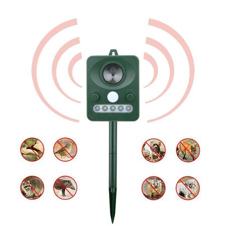 https://img.bestdeals.co.nz/products_pictures/732/73244_699646_F.jpg