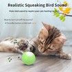 Smart Interactive Cat Toy, Automatic Moving Rolling Ball for Indoor Cats, Peppy Cat Toy with Lights/Sound Simulation Bird,1 Pack
