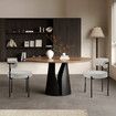 2x Boucle Dining Chairs Round Sherpa Upholstered Fabric Lounge Accent Seats for Cafe Kitchen Living Room with Backrest