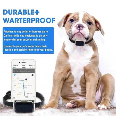 https://img.bestdeals.co.nz/products_pictures/735/73509_702518_F.jpg