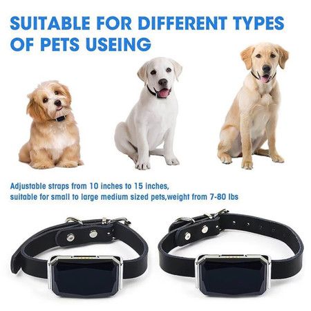https://img.bestdeals.co.nz/products_pictures/735/73509_702525_F.jpg