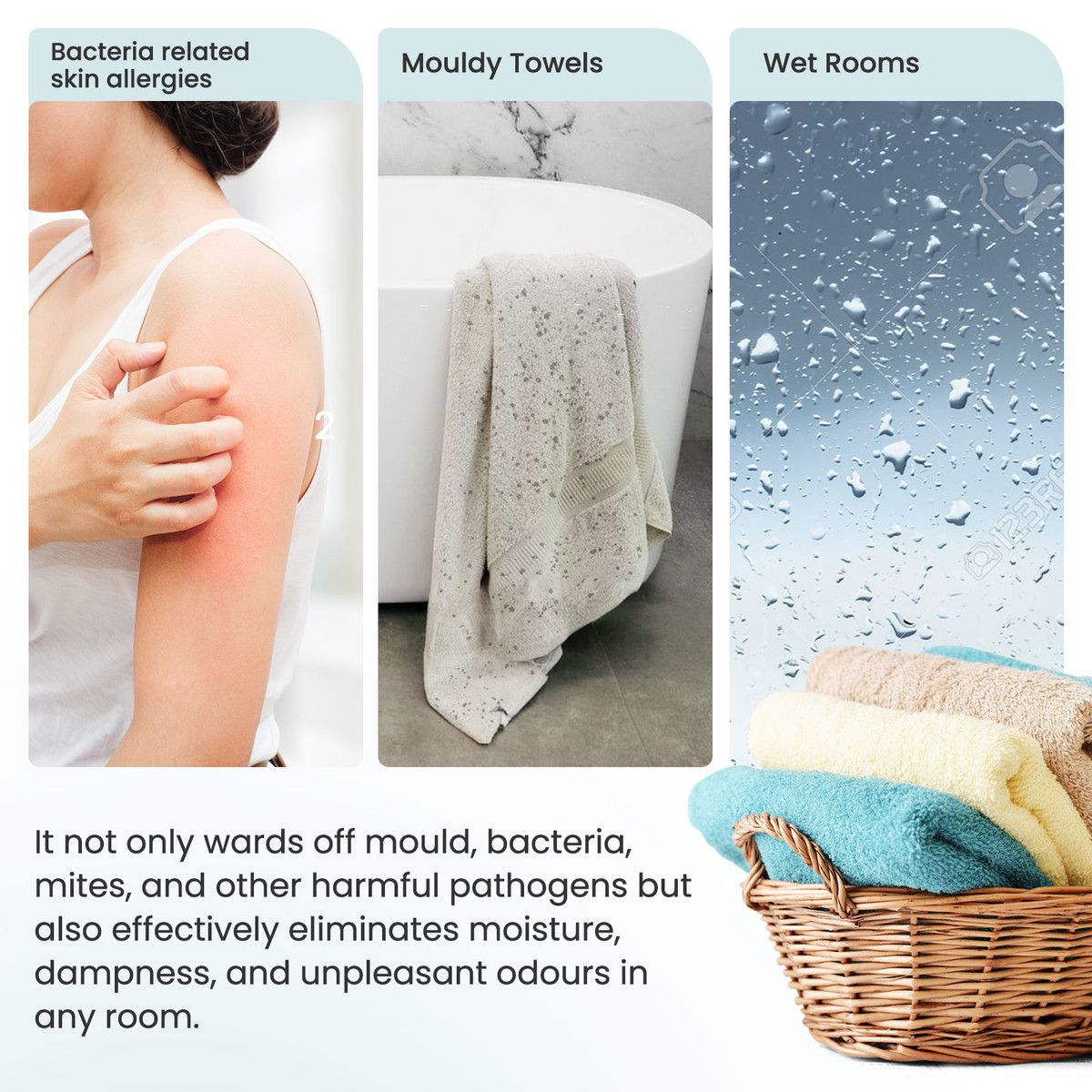 https://img.bestdeals.co.nz/products_pictures/737/73737_704934_F.jpg