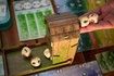 Stonemaier Wingspan Board Game Expansion Swift Start Strategy Game Pack