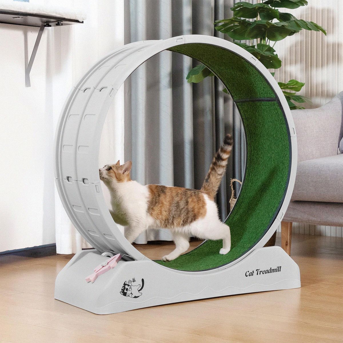https://img.bestdeals.co.nz/products_pictures/737/73789_705466_F.jpg