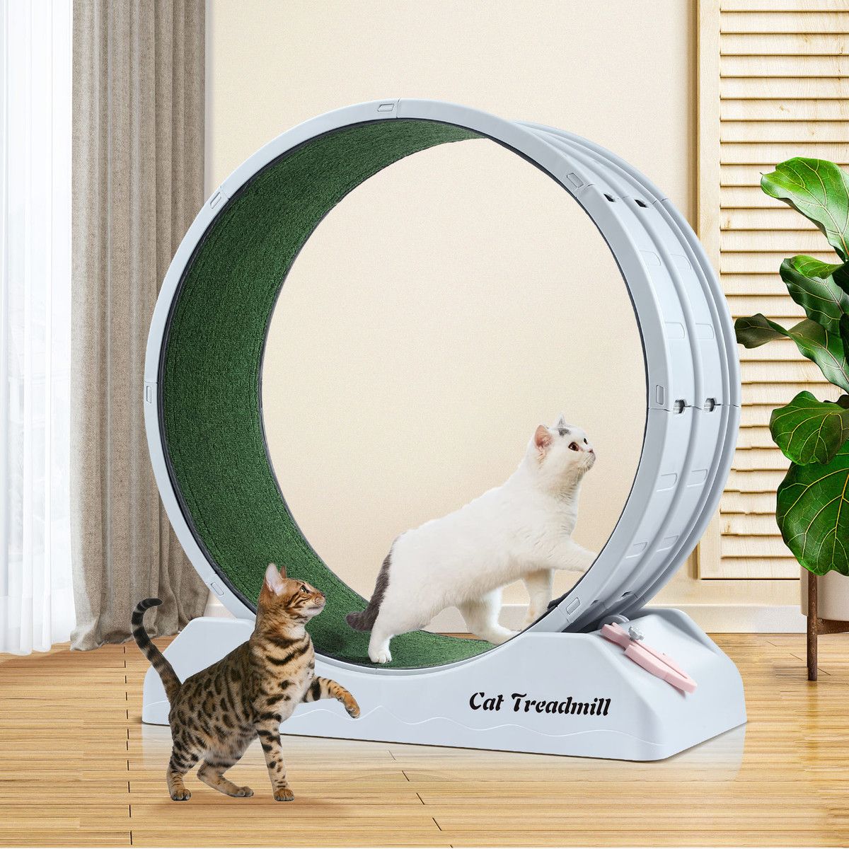 https://img.bestdeals.co.nz/products_pictures/737/73789_705468_F.jpg