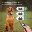 2 Receivers 1800m Remote Range Dog Training Collar Rechargeable Type-C Power 9 Vibration Levels 30 Shock Levels Waterproof up to 4 dogs Long Standby