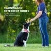 Dog Barking Control Ultrasonic Whistle Safe Humane Stop Anti Bark Device Training Pet Behaviour No Electricity Harm Quiet Outdoor Tool