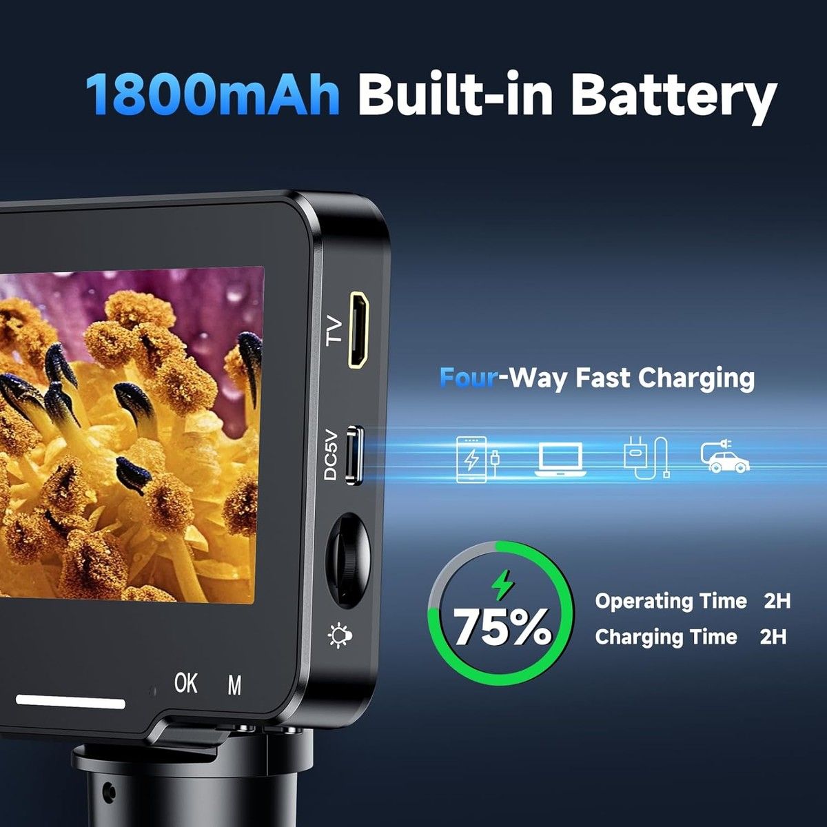 https://img.bestdeals.co.nz/products_pictures/740/74081_708506_F.jpg