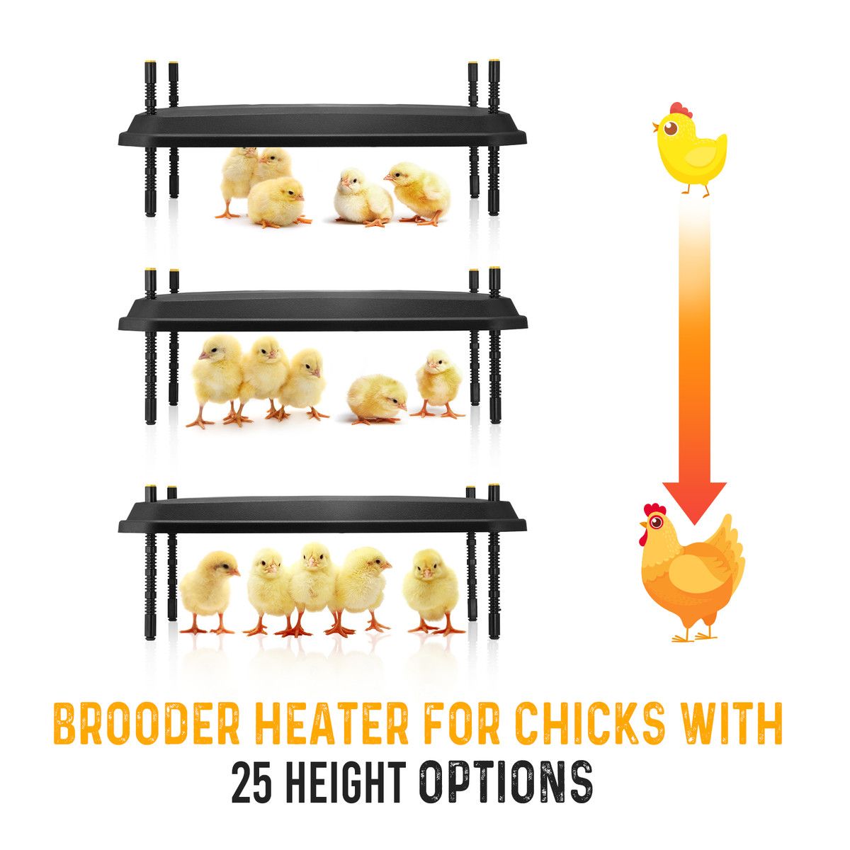 https://img.bestdeals.co.nz/products_pictures/741/74173_709315_F.jpg