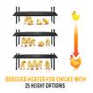 Chick Brooder Heating Plate Chicken Chook Coop Brooding Heater Chook Poultry Duck Warmer Adjustable for 40 to 50 Chicks 40x55cm
