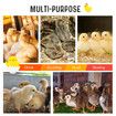 Chick Brooder Heating Plate Chicken Chook Coop Brooding Heater Chook Poultry Duck Warmer Adjustable for 40 to 50 Chicks 40x55cm