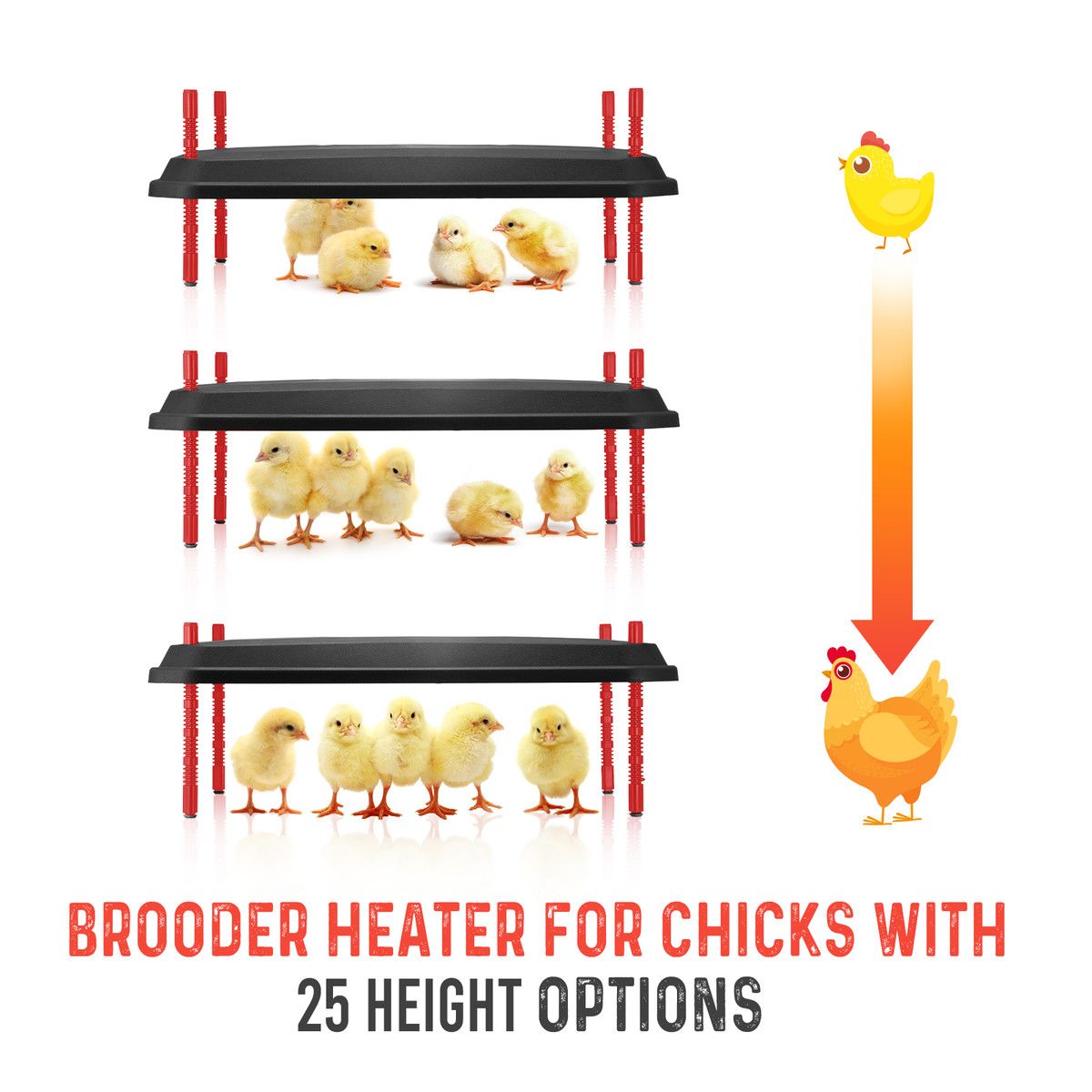 https://img.bestdeals.co.nz/products_pictures/741/74174_709337_F.jpg