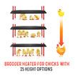 Chick Brooder Heating Plate Chicken Coop Heater Chook Brooding Poultry Duck Warmer Adjustable for 40 to 50 Chicks 40x60cm