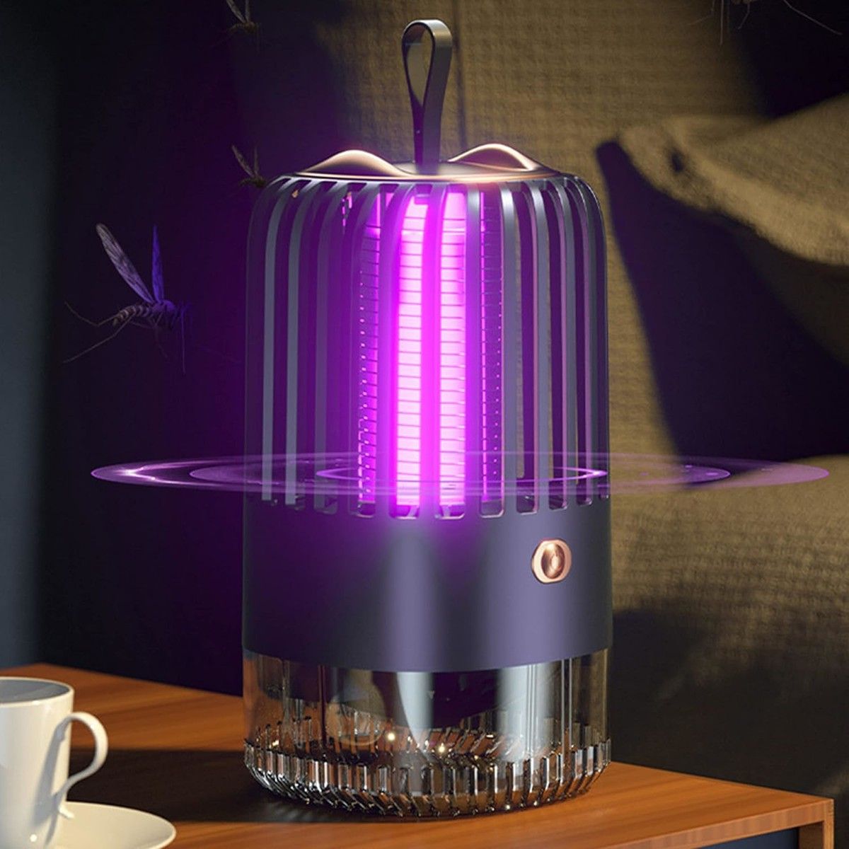 https://img.bestdeals.co.nz/products_pictures/742/74228_709975_F.jpg