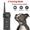 1000m Rechargeable Electric Dog Training Collar With Remote Control for Large Medium Small Dog, Black
