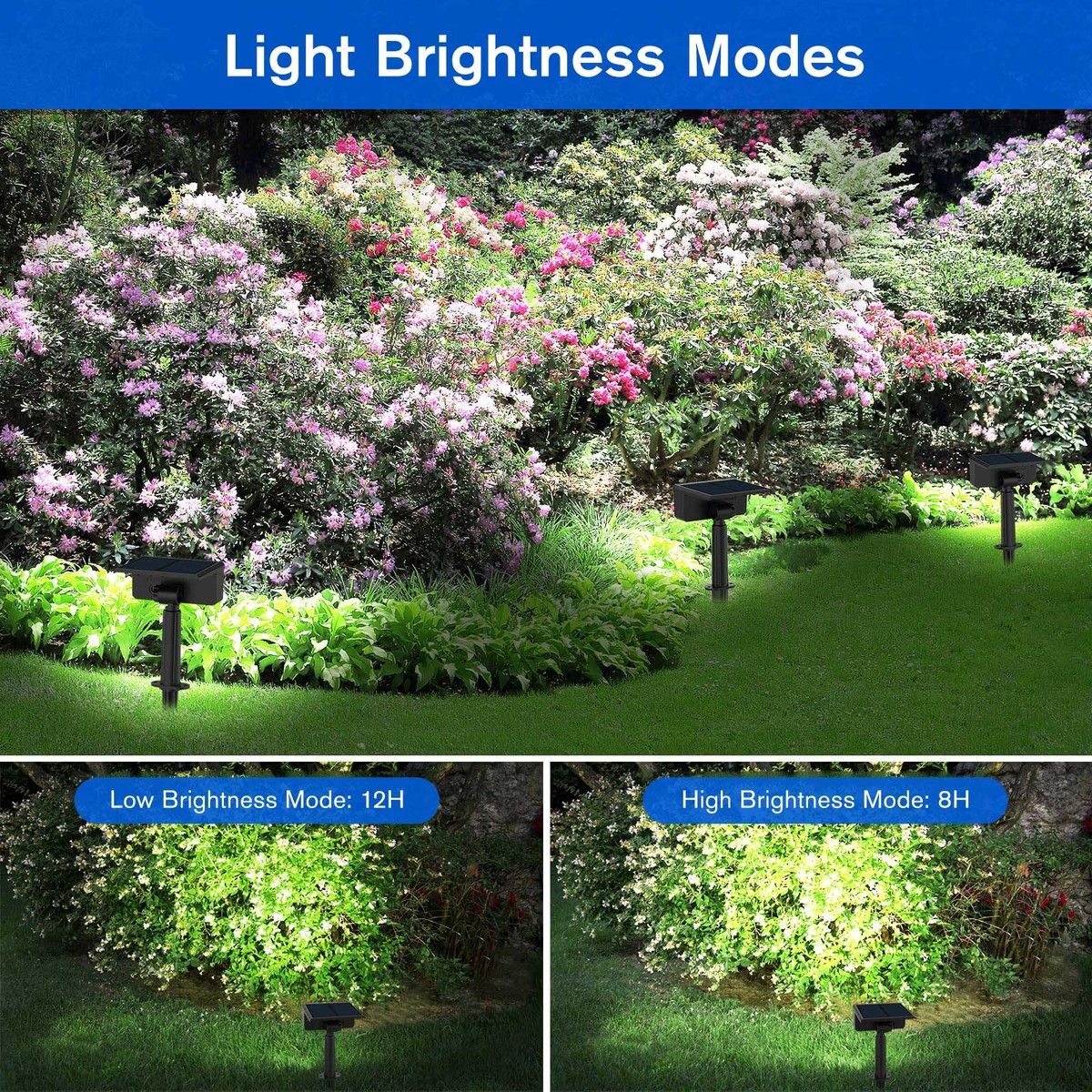 https://img.bestdeals.co.nz/products_pictures/743/74388_711494_F.jpg