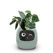 Smart Flowerpots,Smart Pet Planter,AI Planter,Intelligent Flowerpots,Multiple Expressions,7 Smart Sensors,and AI Chips Make Raising Plants Easy and Fun for Living Room,Plant-free (Green)