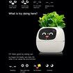 Smart Flowerpots,Smart Pet Planter,AI Planter,Intelligent Flowerpots,Multiple Expressions,7 Smart Sensors,and AI Chips Make Raising Plants Easy and Fun for Living Room,Plant-free (Green)