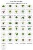 Smart Flowerpots,Smart Pet Planter,AI Planter,Intelligent Flowerpots,Multiple Expressions,7 Smart Sensors,and AI Chips Make Raising Plants Easy and Fun for Living Room,Plant-free (Green)