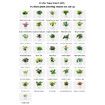 Smart Flowerpots,Smart Pet Planter,AI Planter,Intelligent Flowerpots,Multiple Expressions,7 Smart Sensors,and AI Chips Make Raising Plants Easy and Fun for Living Room,Plant-free (Yellow)