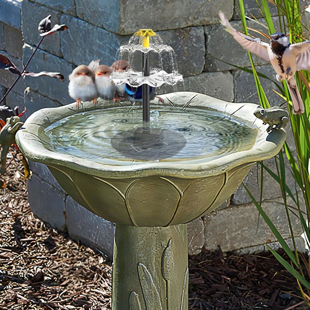 https://img.bestdeals.co.nz/products_pictures/746/74615_714127_F.jpg
