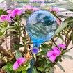 Plant Watering Globes,10pcs Plastic Plant Automatic Water Bulbs Flower Self Feeder Balls Irrigation Device Auto Waterer Planter Insert Stakes