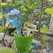 Plant Watering Globes,10pcs Plastic Plant Automatic Water Bulbs Flower Self Feeder Balls Irrigation Device Auto Waterer Planter Insert Stakes