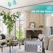Radios Portable AM FM Retro Radio,Transistor Radios with Loud Speakers,Battery Powered or DC Power,Suitable for Indoor Outdoor and Emergency Use,Small Transistor Radio AM FM Gifts