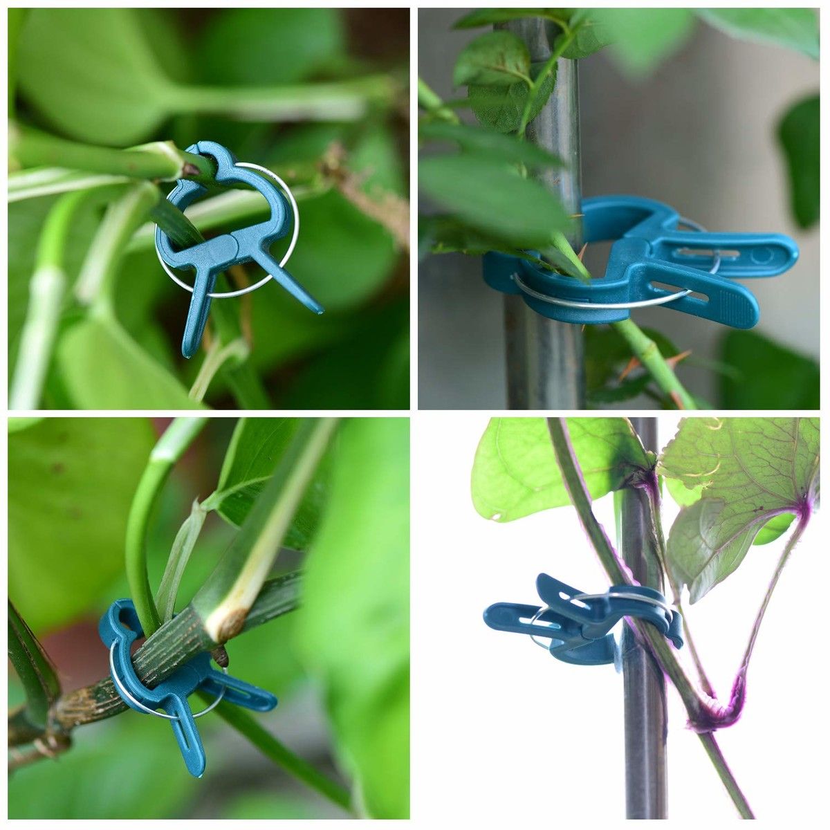 https://img.bestdeals.co.nz/products_pictures/748/74832_716403_F.jpg