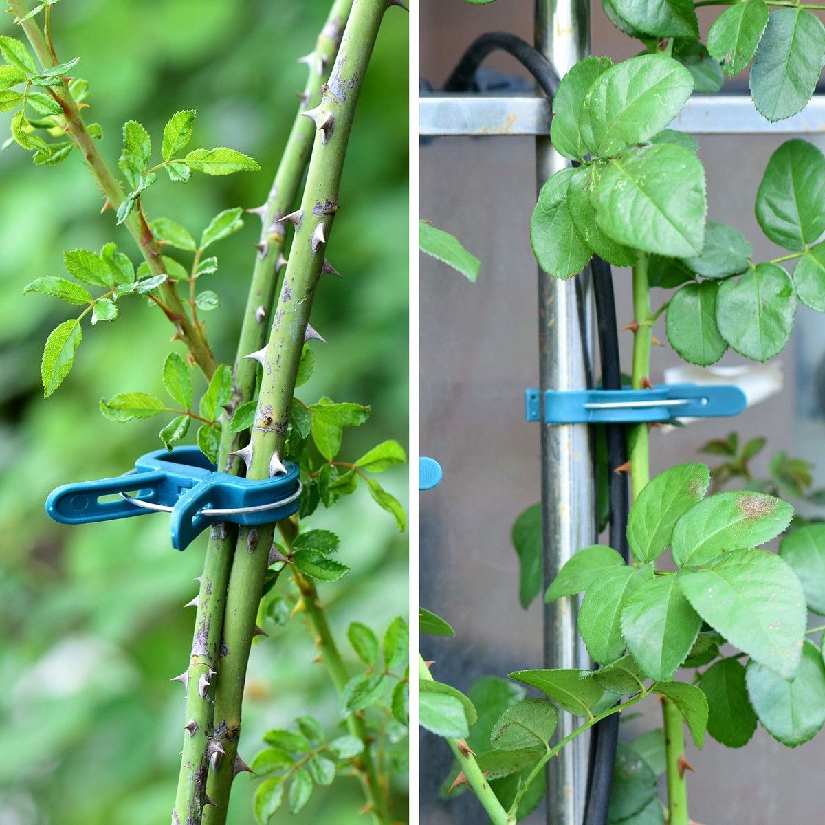 https://img.bestdeals.co.nz/products_pictures/748/74832_716405_F.jpg
