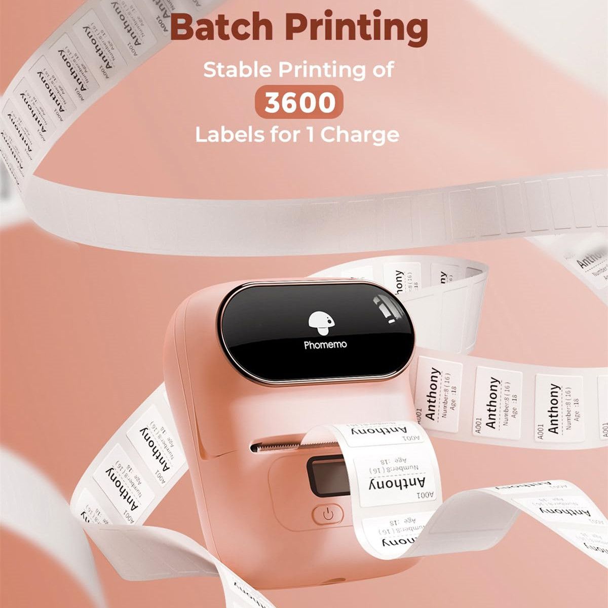 https://img.bestdeals.co.nz/products_pictures/749/74959_717670_F.jpg