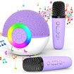 Portable Mini Karaoke Machine for Kids, Bluetooth Speaker with Wireless Microphone,MP3 Player,Perfect for Birthday and Family Parties(2 Mic)