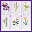 Flower Bouquet Building Blocks Set, Botanical Collection for Home Decor Accessories, DIY Unique Gift for Girls and Kids Aged 8+ (891 PCS)