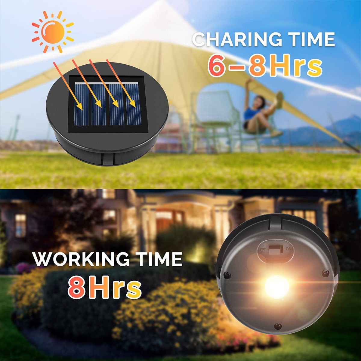 https://img.bestdeals.co.nz/products_pictures/750/75099_719051_F.jpg