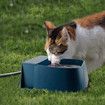 Automatic Dog Water Bowl Dispenser,Outdoor Auto Water Dog Bowl Refill Waterer,Auto Self Filling Water Bowl for Dogs,Cats,Wildlife 2 Liters