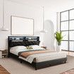 Led Bed Frame Double Size Mattress Base Platform with Storage Headboard Wooden Bedhead Foundation Shelf Bookcase Bedroom Furniture Black PU