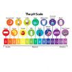 PH Test Strips, Universal Application (pH 0-14), 100 Strips for Saliva, Soap, Urine, Food, Liquids, Water with Soil Testing, Lab Monitoring