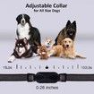 Remote Control Dog Training Collar, Waterproof, Rechargeable Shock Collar, for Small Medium Large Dogs, 3 Training Modes (Black)