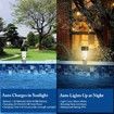 Solar Pool Lights 6 Pack Pool Lights for Framed Above Ground Pools, Outdoor Pool Decoration Night Light