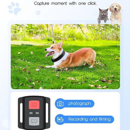https://img.bestdeals.co.nz/products_pictures/753/75347_721644_F.jpg