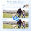 4K HD WiFi Pet Camera Mini Action Camera for Video Records, Dog Cat Collar Camera