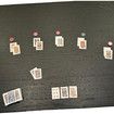 Trump Family Poker Playing Cards for Poker Nights, 52 Cards and 2 Jokers
