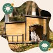 XXL Dog House Kennel Outdoor Raised Pet Enclosure Crate Indoor Exterior Home Furniture with Openable Roofs