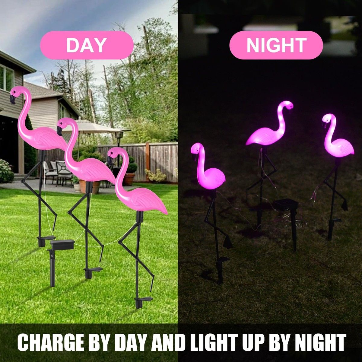 https://img.bestdeals.co.nz/products_pictures/755/75532_723886_F.jpg