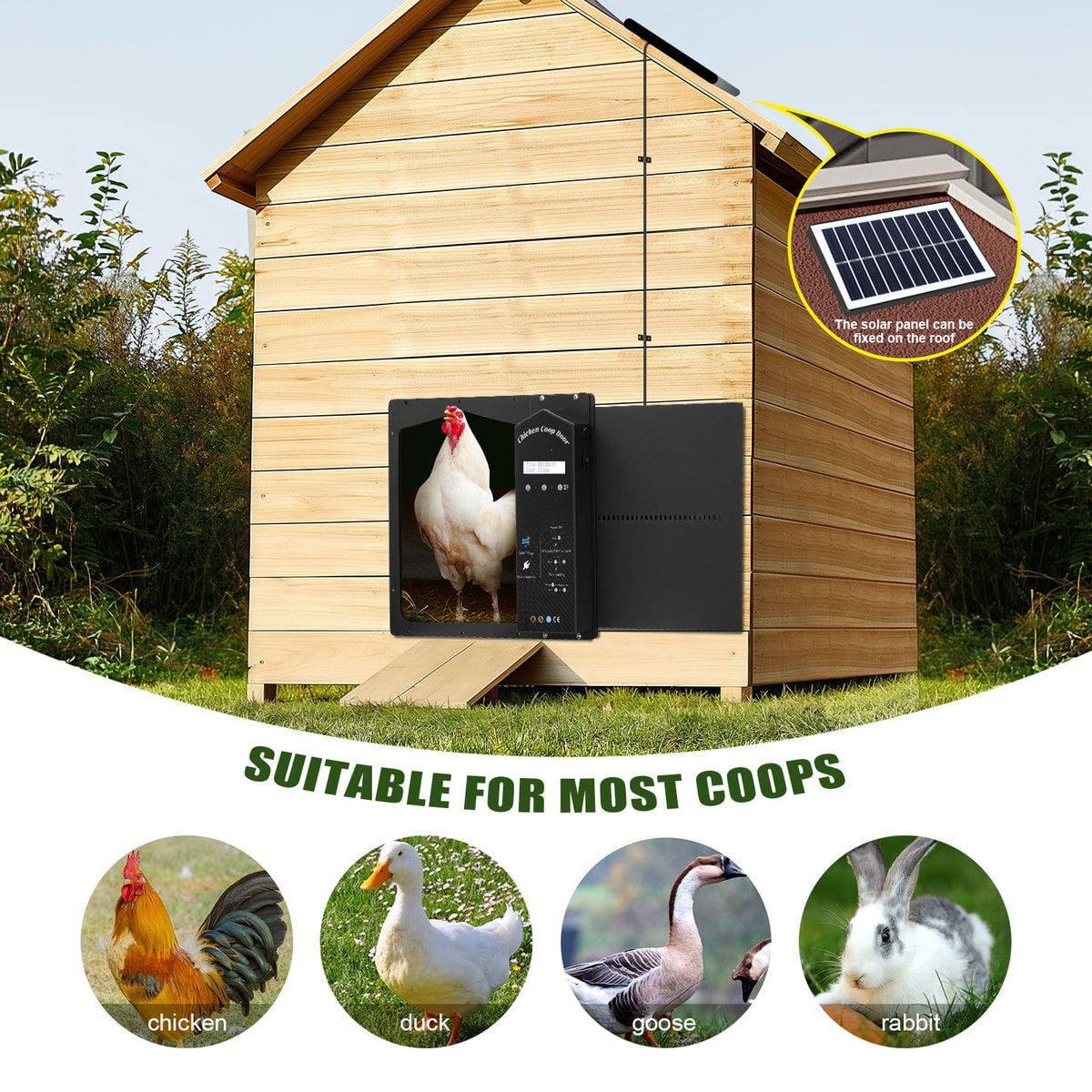 https://img.bestdeals.co.nz/products_pictures/755/75597_724874_F.jpg