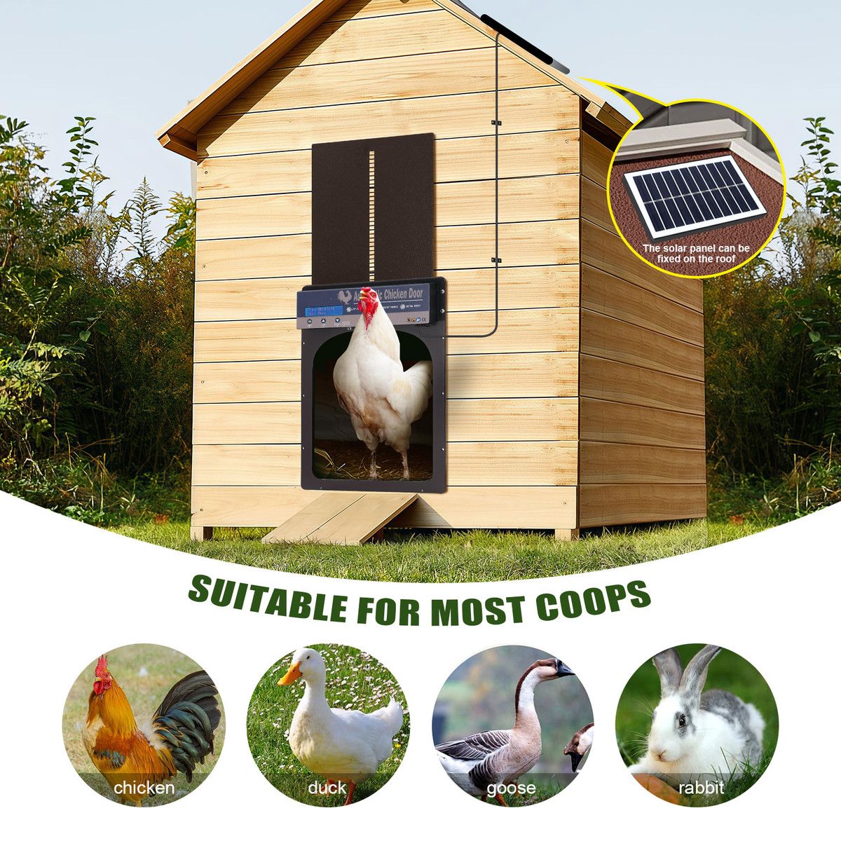 https://img.bestdeals.co.nz/products_pictures/755/75598_724897_F.jpg