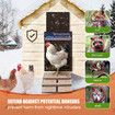 Auto Chicken Coop Door Solar Powered Cage Opener Closer Kit Automatic Safe Timer Light Sensor Hen House Poultry Pen Run