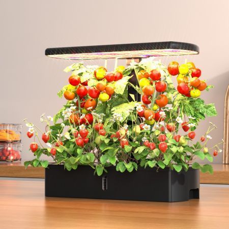 https://img.bestdeals.co.nz/products_pictures/757/75739_726036_F.jpg