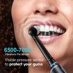 Electric Toothbrush Rotary TypeC Power Rechargeable Teeth Deep Cleaning Birthday Christmas Gifts Oral Care Set 8 Replacement Heads Travel Case Col. Black
